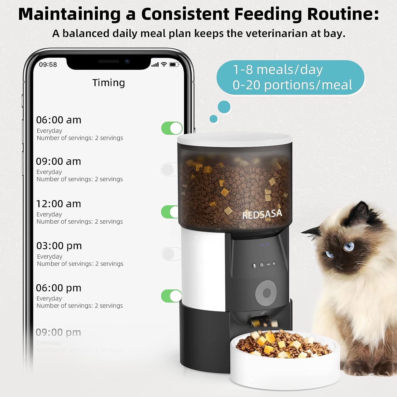 Maintaining a consistent Feeding Routine | Cat Feeder